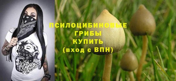 кристаллы Инта