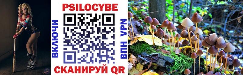 Псилоцибиновые грибы прущие грибы  Костомукша 